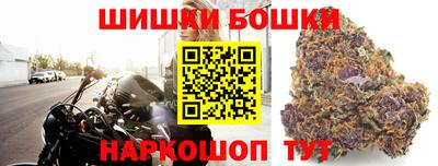 крисы Кандалакша