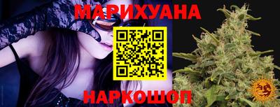 крисы Кандалакша