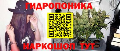 стафф Канаш