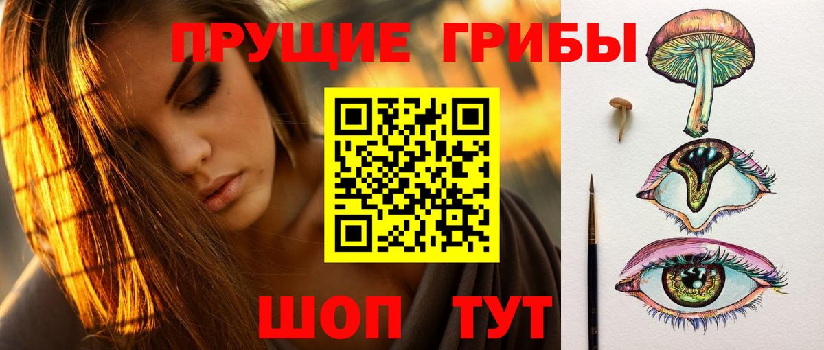 Кудрово  Галлюциногенные грибы GOLDEN TEACHER  Вход с VPN 
