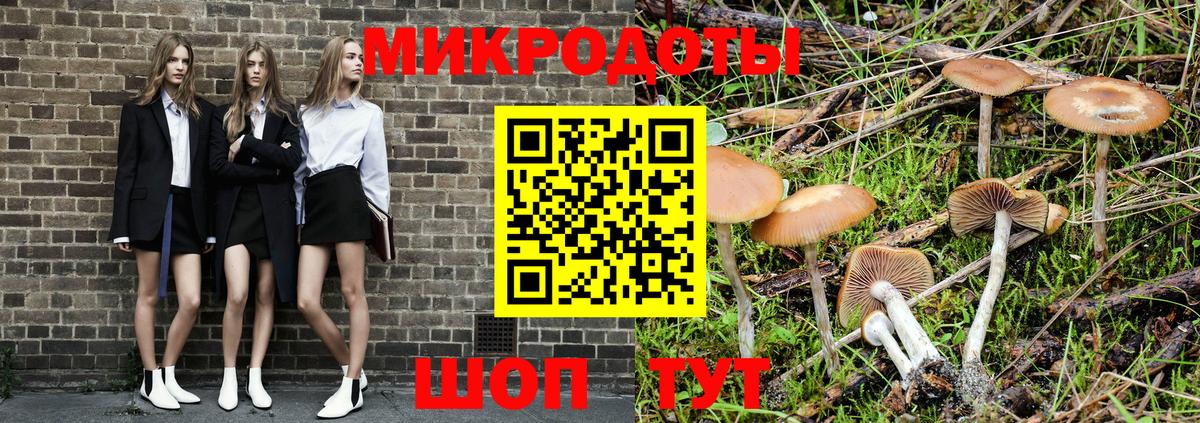 Галлюциногенные грибы мицелий Кудрово